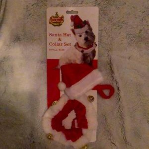 Santa hat for a small teacup dog